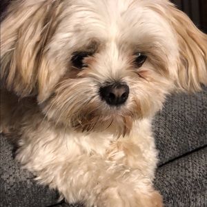 Meet your Posher, Kellie